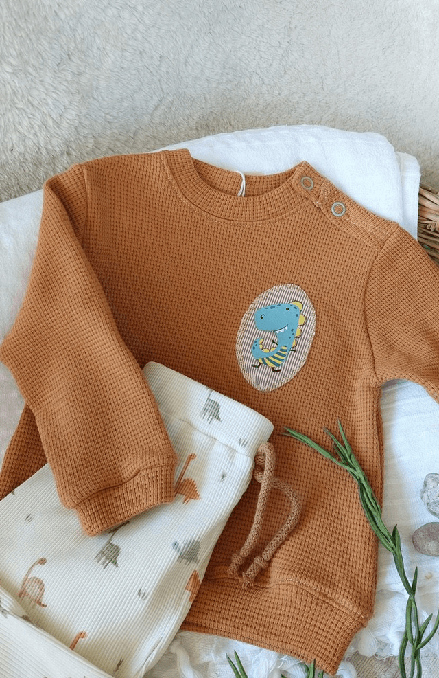 Ensemble dino sweat / pantalon taille 74