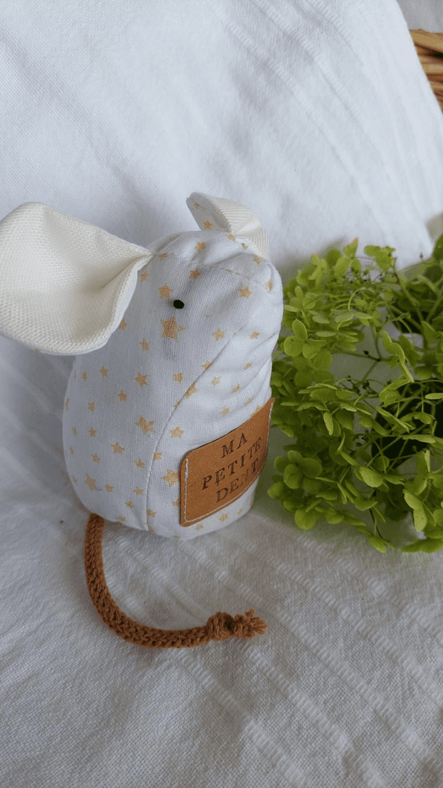 La petite souris des dents de lait  