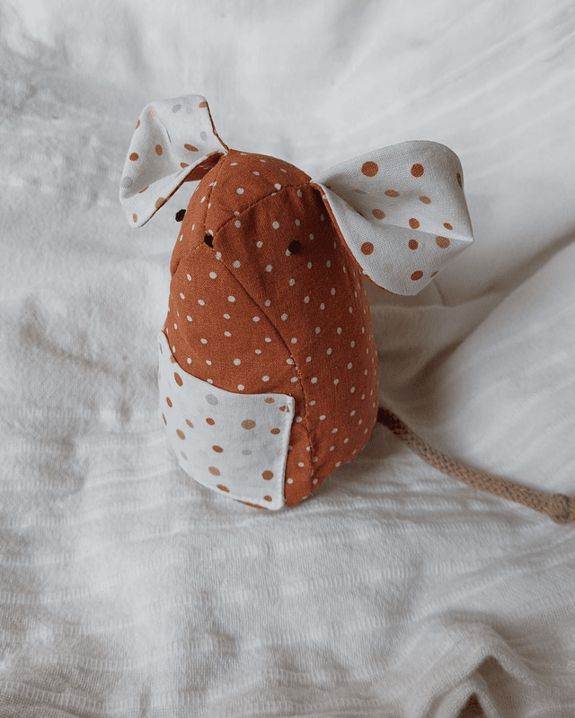 La petite souris des dents de lait  